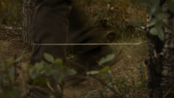 The Last of Us The Last of Us