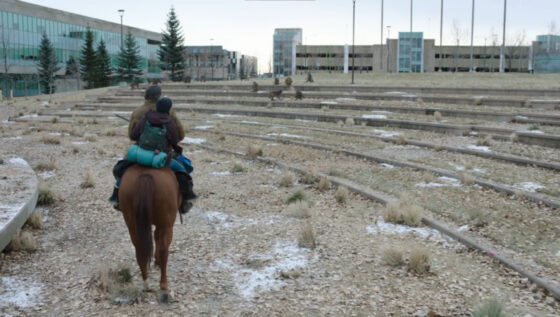 The last of us The last of us