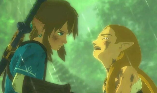 Zelda Tears of the Kingdom chola
