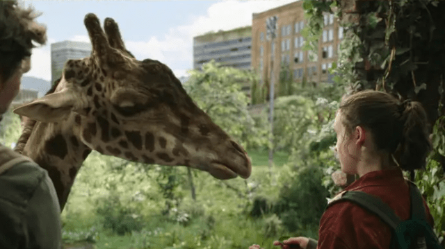 The Last of Us girafa