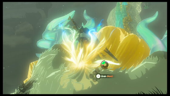 Zelda Tears of the Kingdom