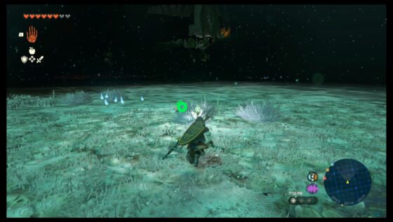 Zelda Tears of the Kingdom