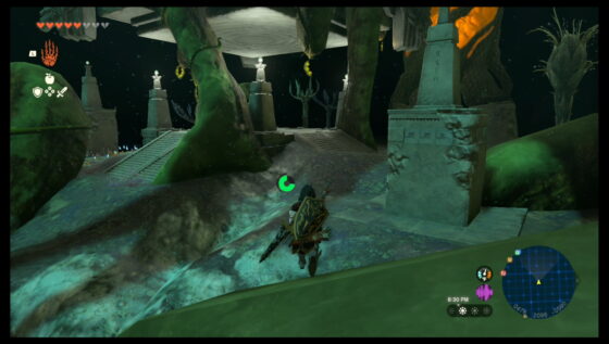 Zelda Tears of the Kingdom