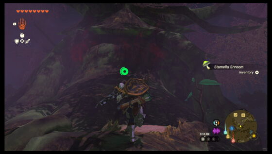 Zelda Tears of the Kingdom