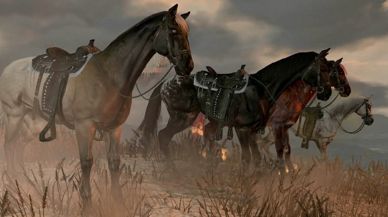 Red Dead Redemption 2 cavalos