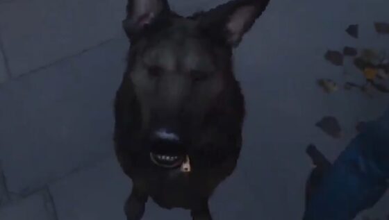 COD Modern Warfare 3 carinho cachorro