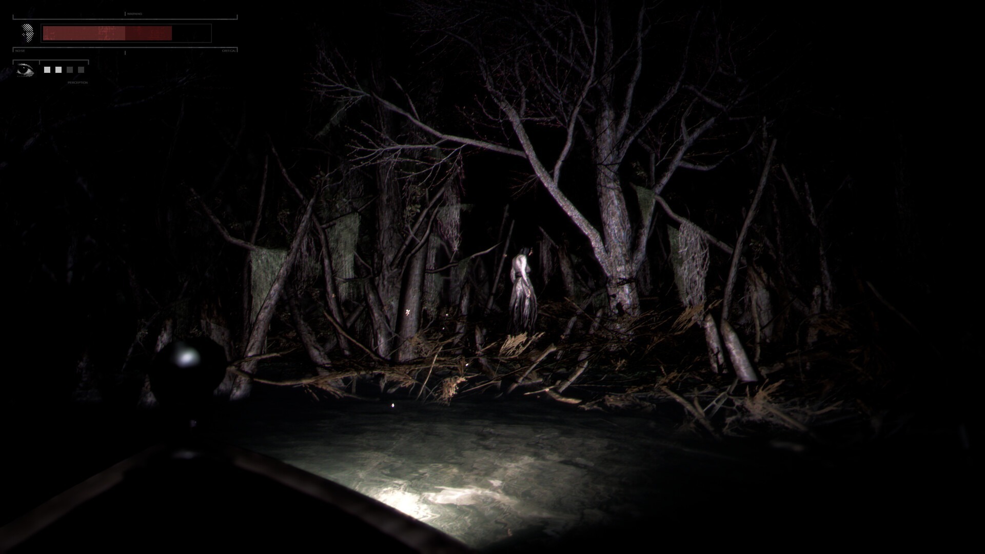 Drowned Lake: conheça jogo de terror que se passa no Brasil