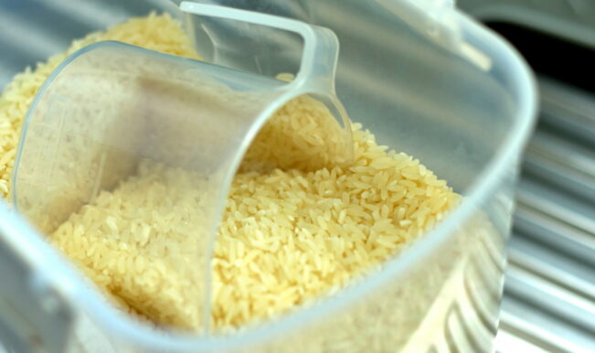 Arroz não deve ser usado para secar Apple iPhone