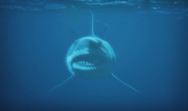 Jaws Infested Waters - jogo do tubarão no Roblox