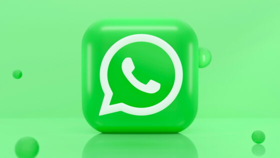 WhatsApp (15)