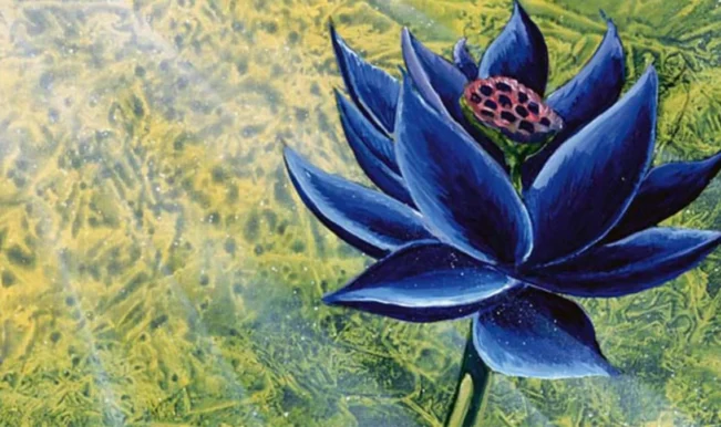 Magic Black Lotus
