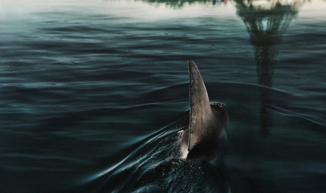 Sob as Águas do Sena - lançamento da Netflix