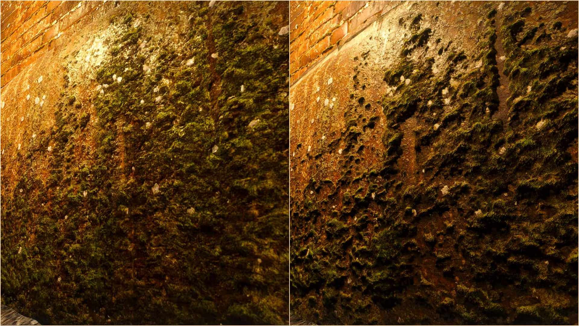 The Witcher 3 The Witcher 3 HD Reworked Project NextGen