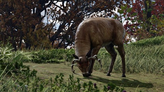 Red Dead Redemption 2