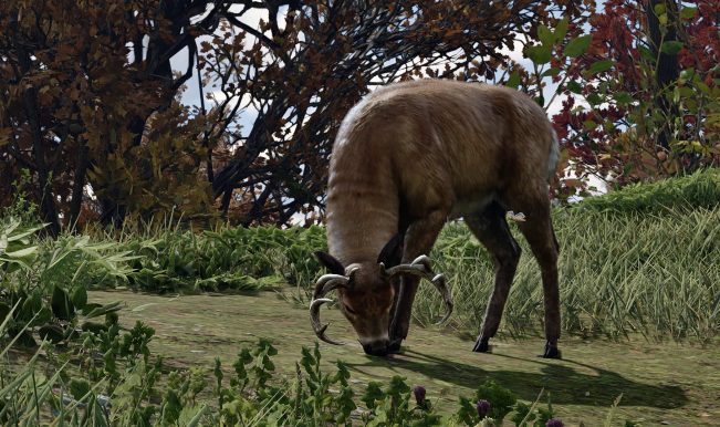 Red Dead Redemption 2