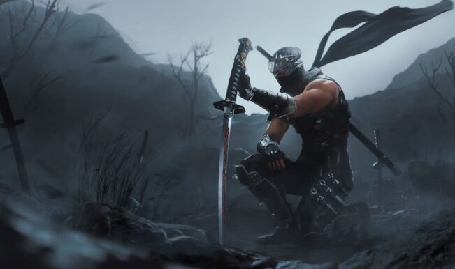 Ninja Gaiden 2 Black