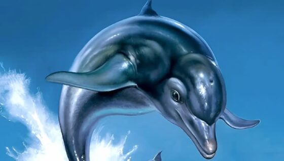 Ecco the Dolphin
