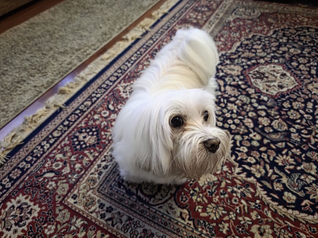 galaxy s25 ultra galaxy s25 ultra