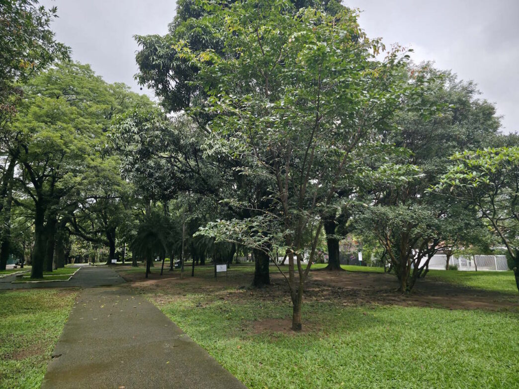 galaxy s25 ultra galaxy s25 ultra