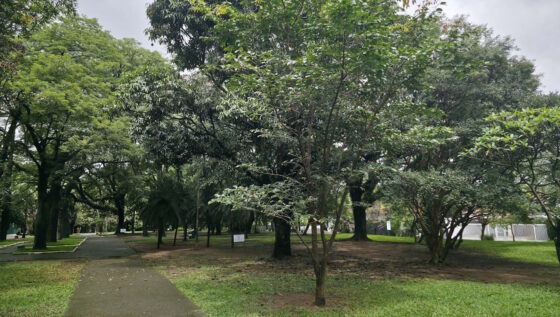 galaxy s25 ultra galaxy s25 ultra