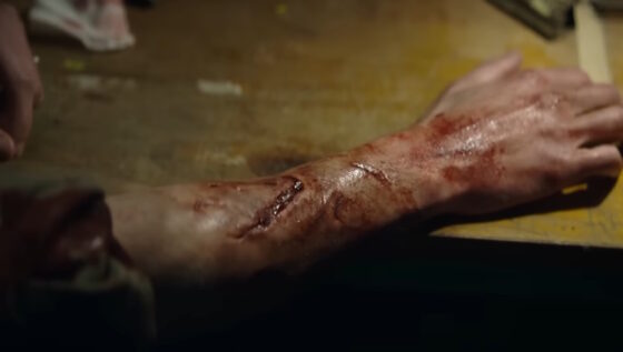 Lobisomem - filmes mais pirateados da semana