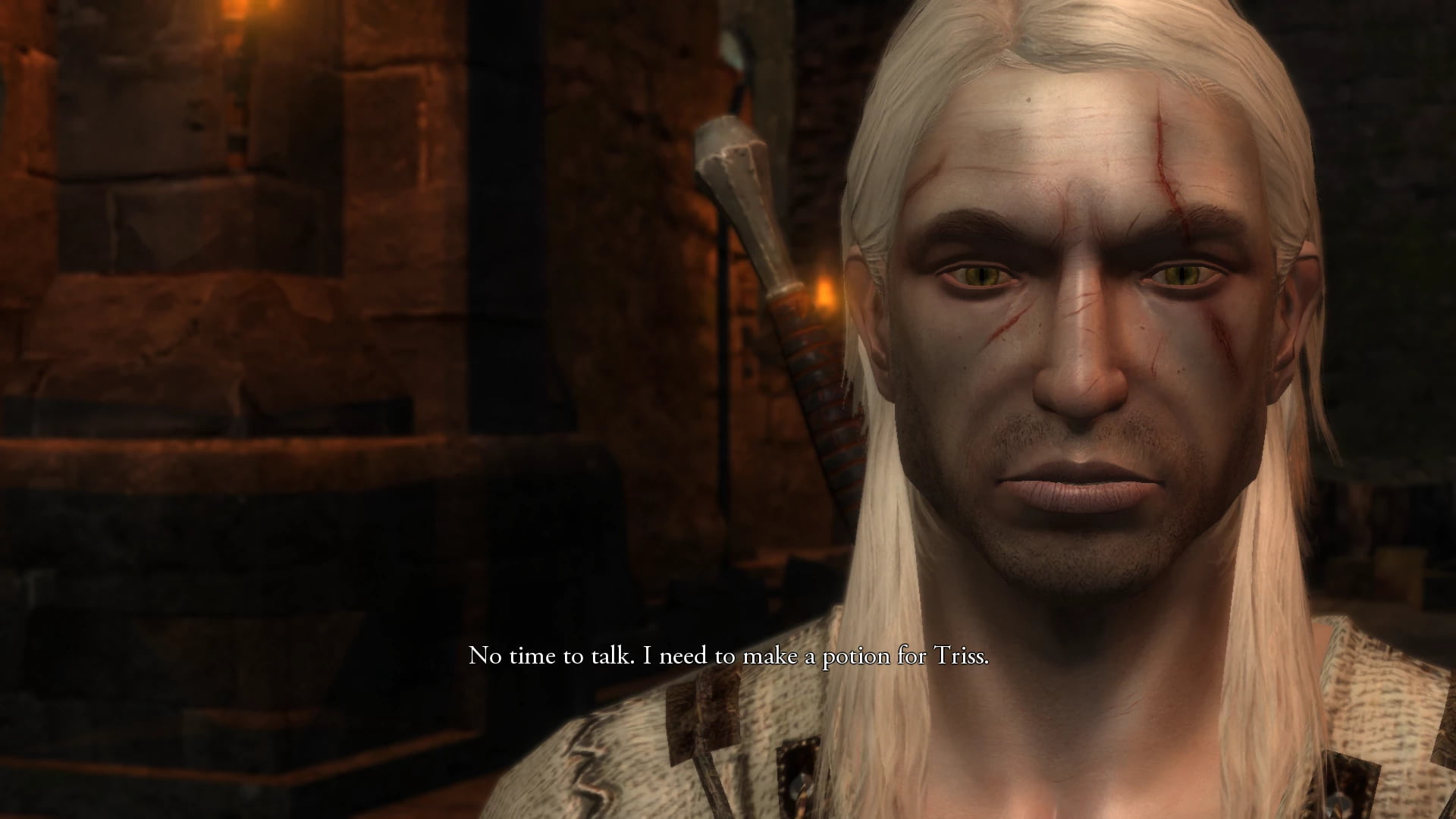 the witcher The Witcher textura HD