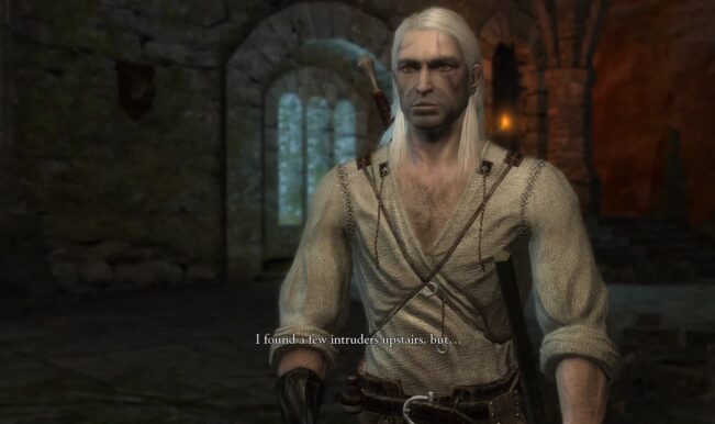 The Witcher textura HD