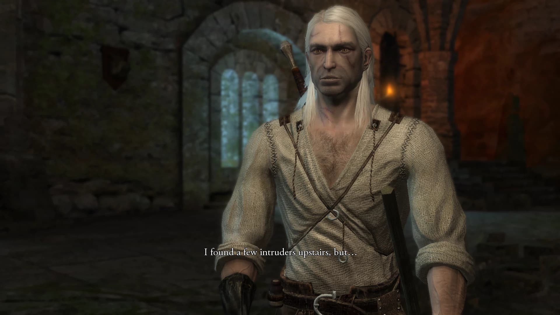 The Witcher textura HD