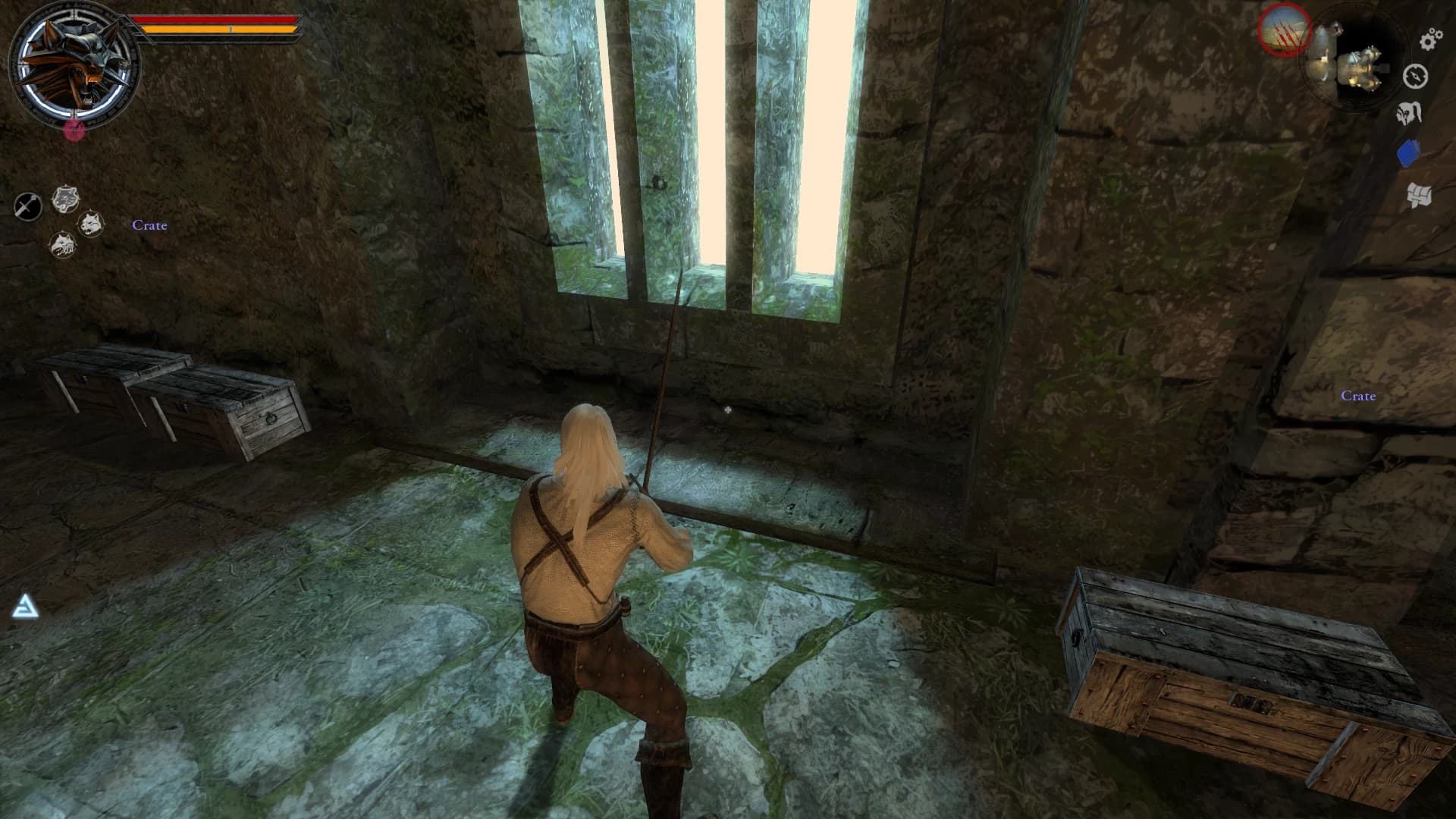 The Witcher textura HD