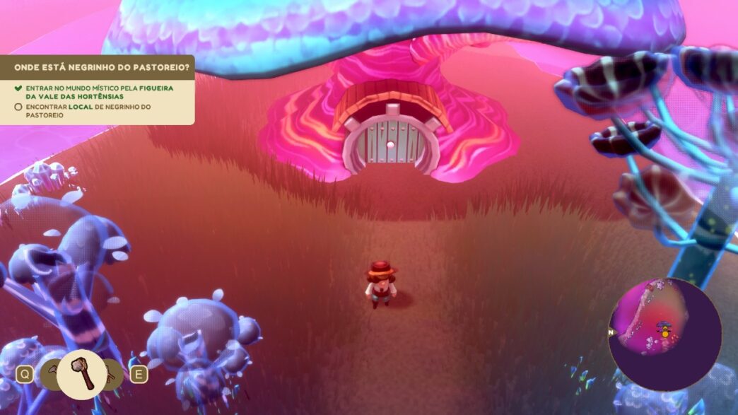 gaucho and the grassland