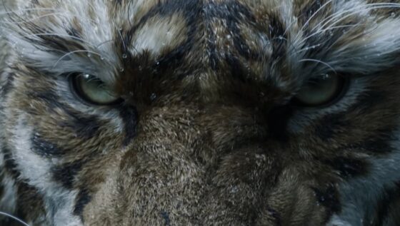 Black Myth Zhong Kui