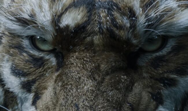 Black Myth Zhong Kui