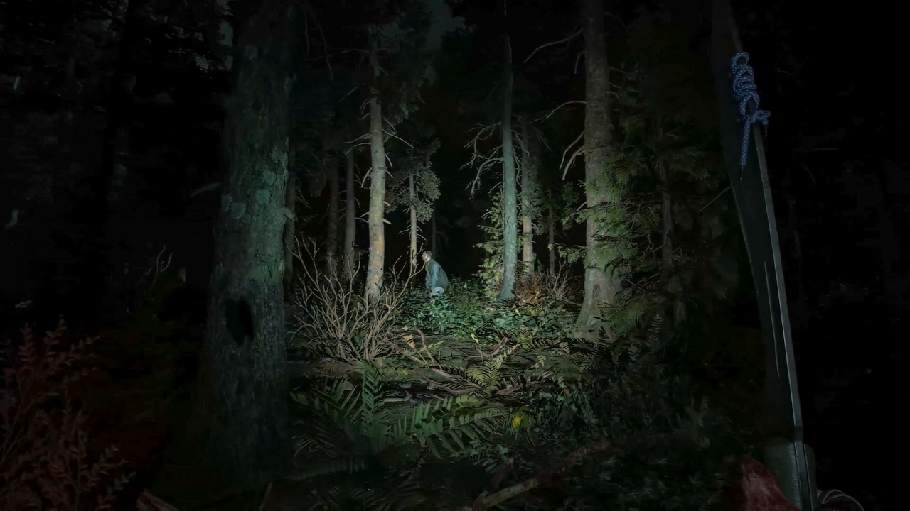 Dying Light The Beast