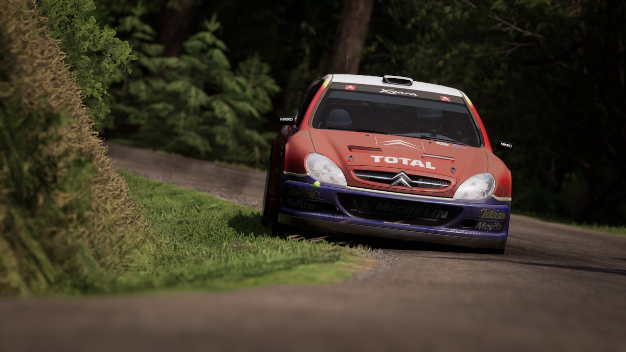 Assetto Corsa Rally (2)
