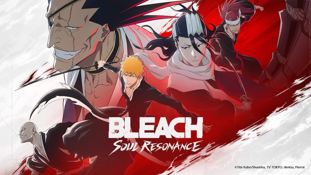 Bleach Soul Resonance