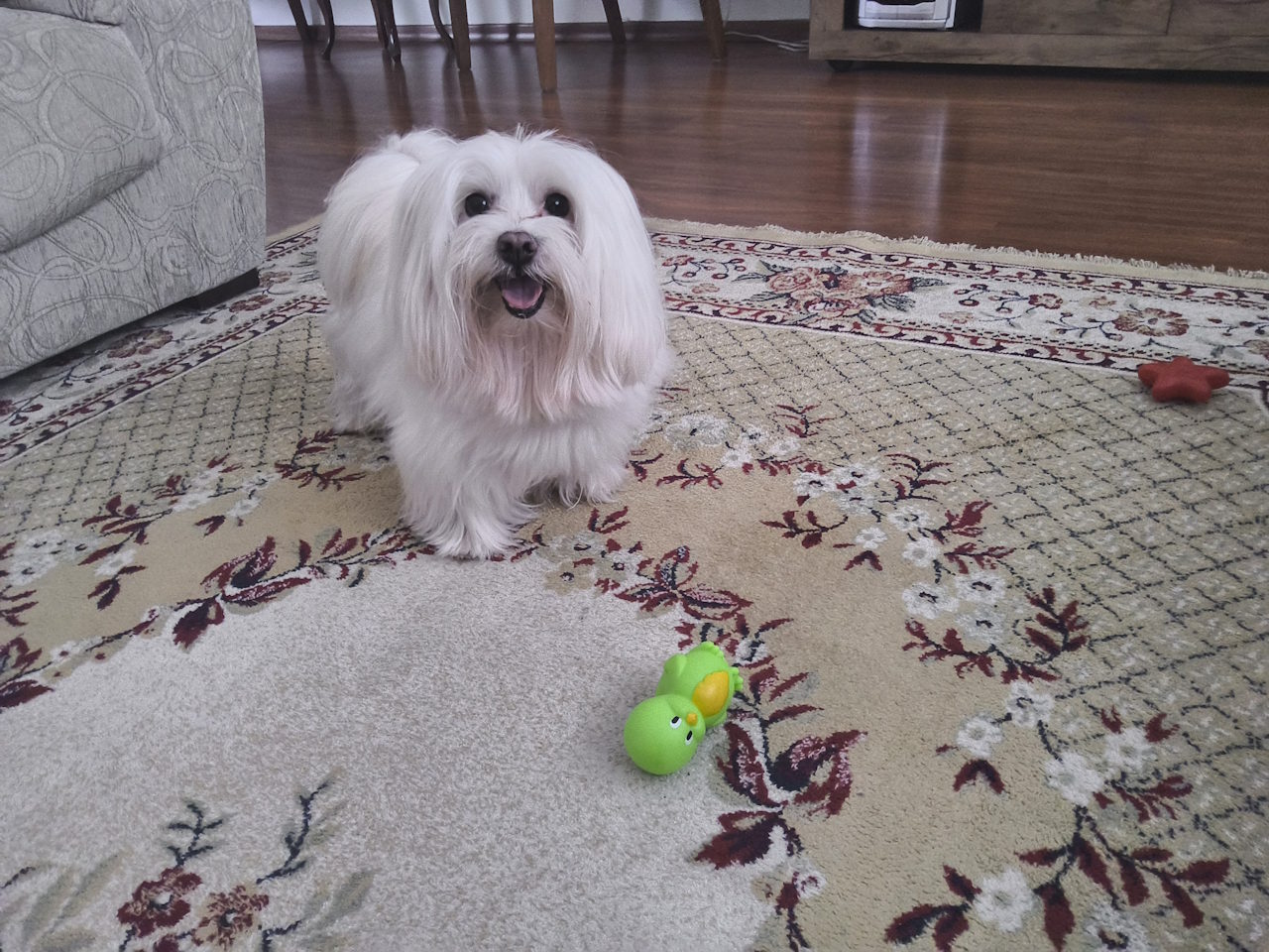 Galaxy Tab S11 Ultra Galaxy Tab S11 Ultra