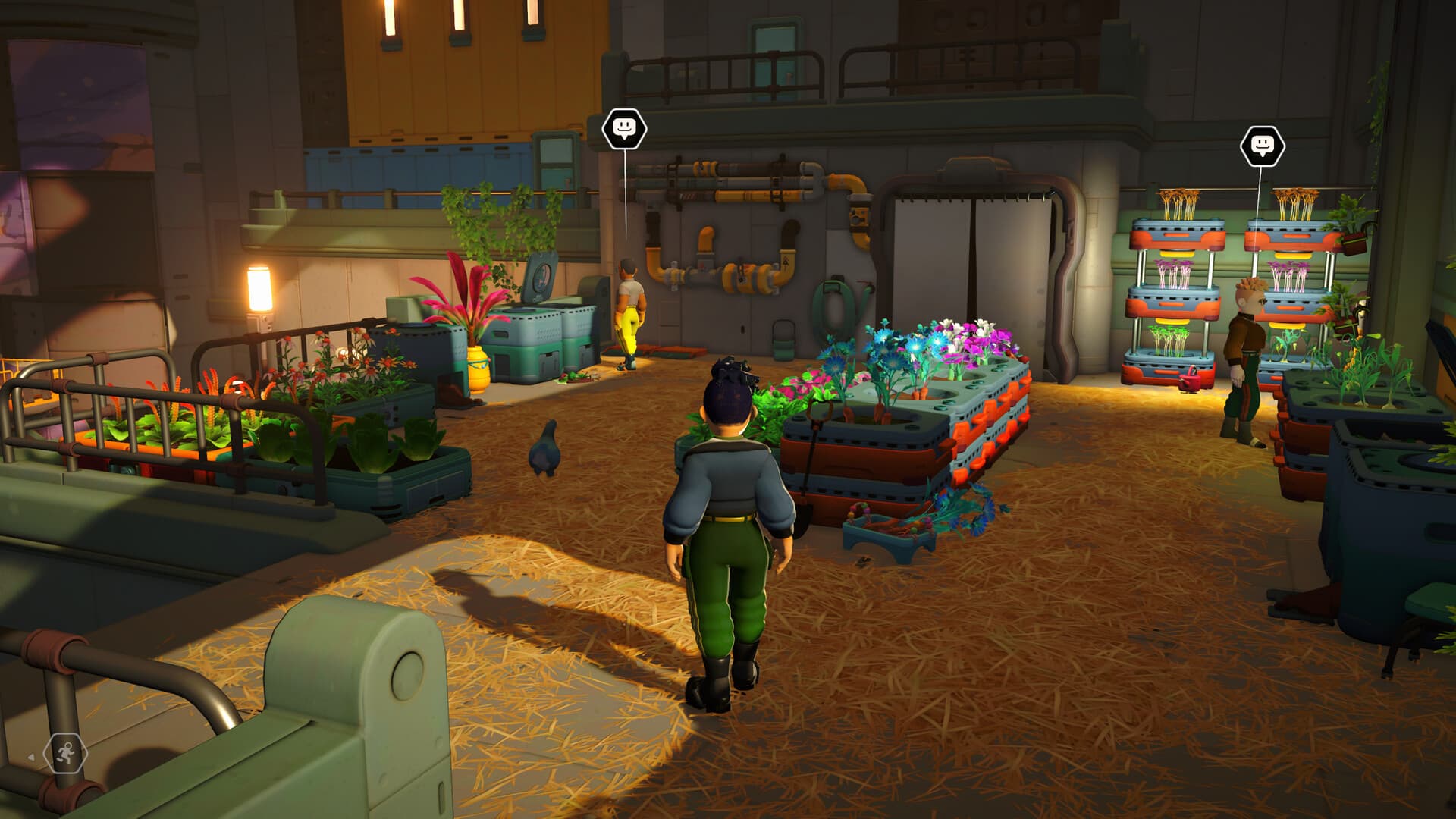 Young Suns Game Pass