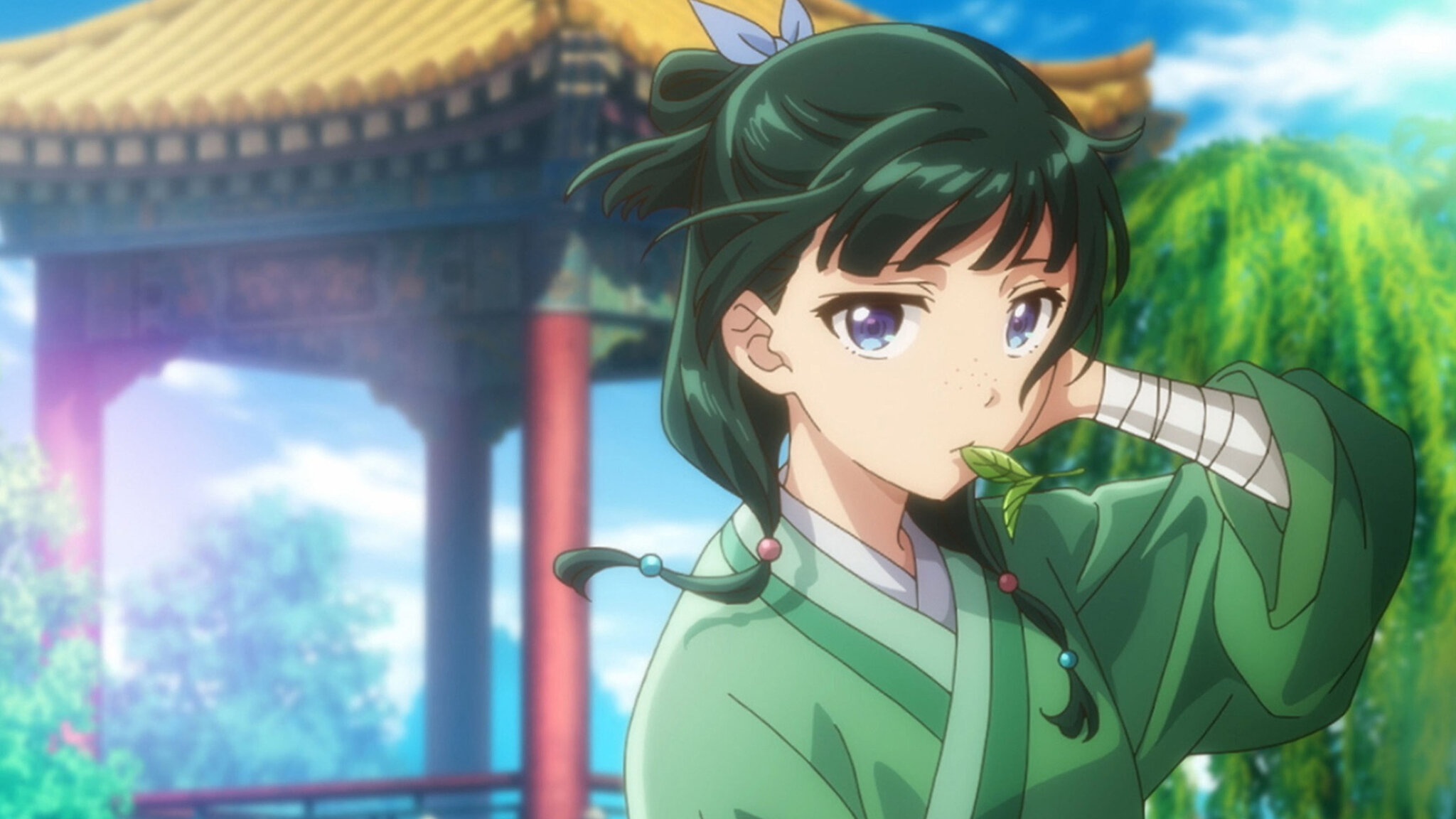 Diários de uma apotecária