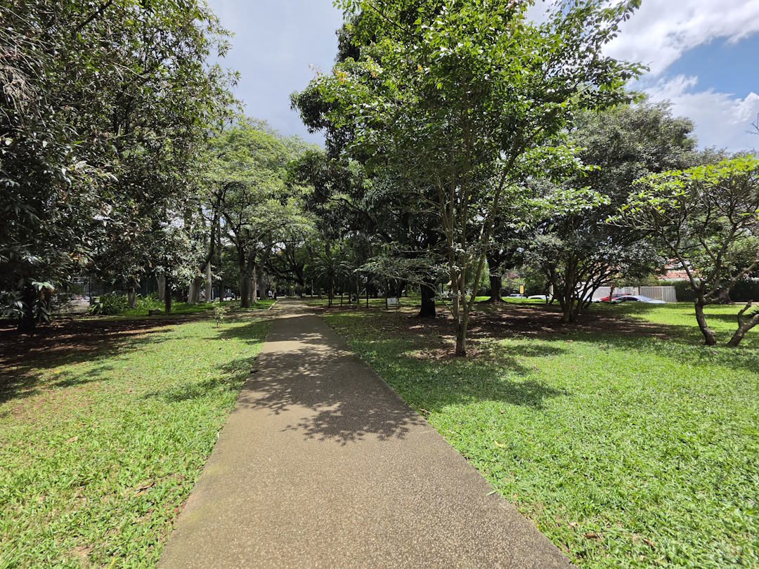 Galaxy S26 Ultra - lente ultrawide