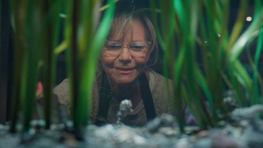 Criaturas Extraordinariamente Brilhantes - lançamento da Netflix