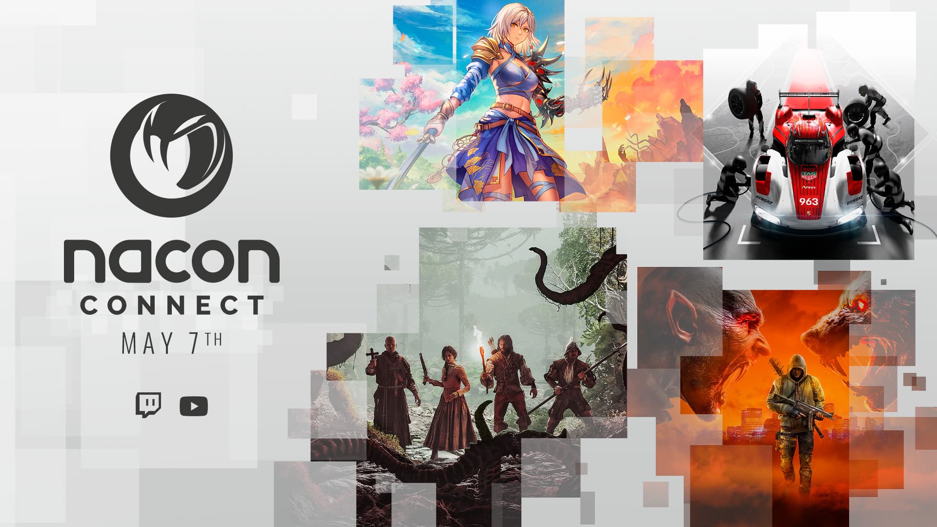 Nacon Connect