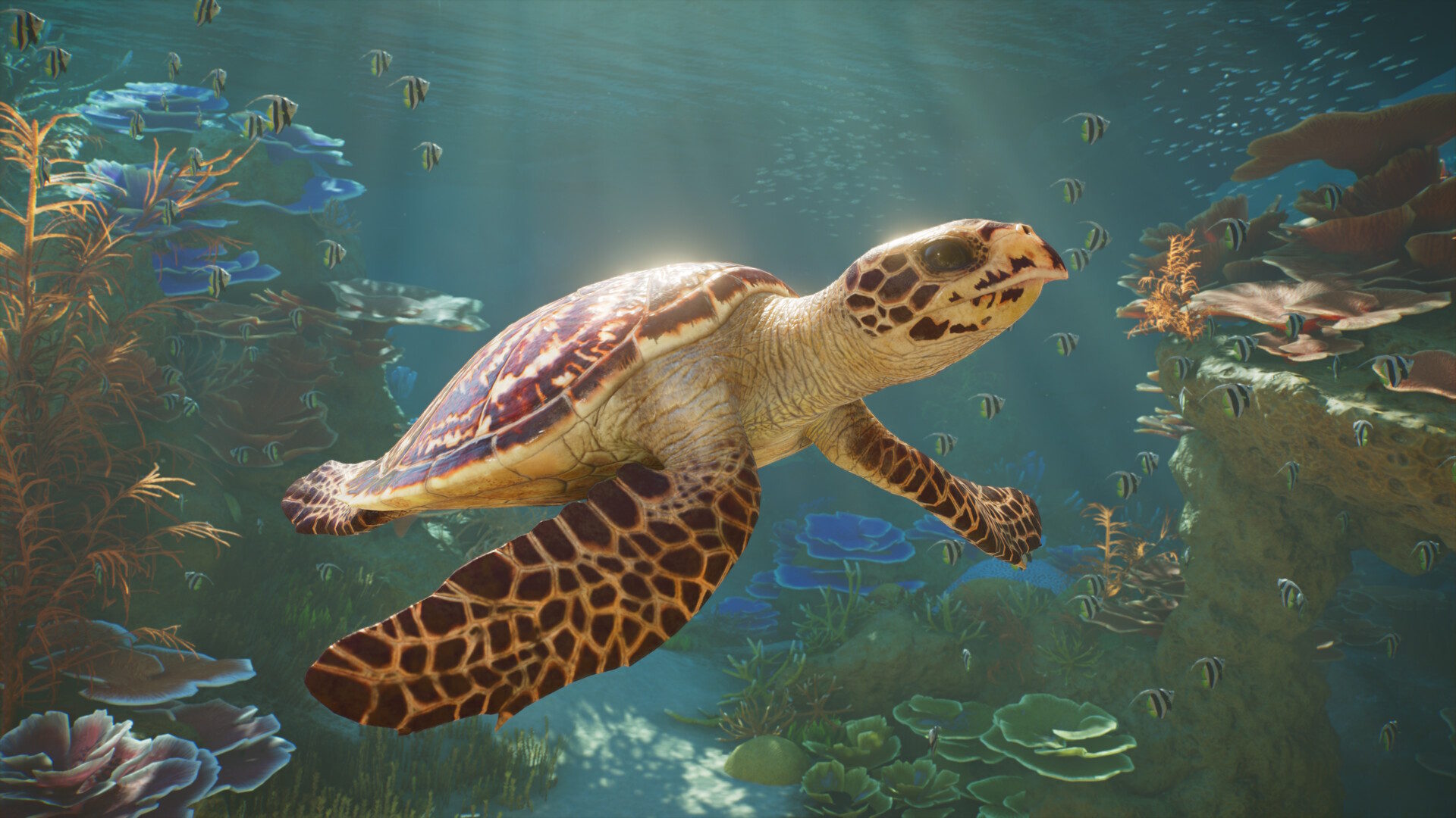 Planet Zoo 2 Planet Zoo 2 (3)