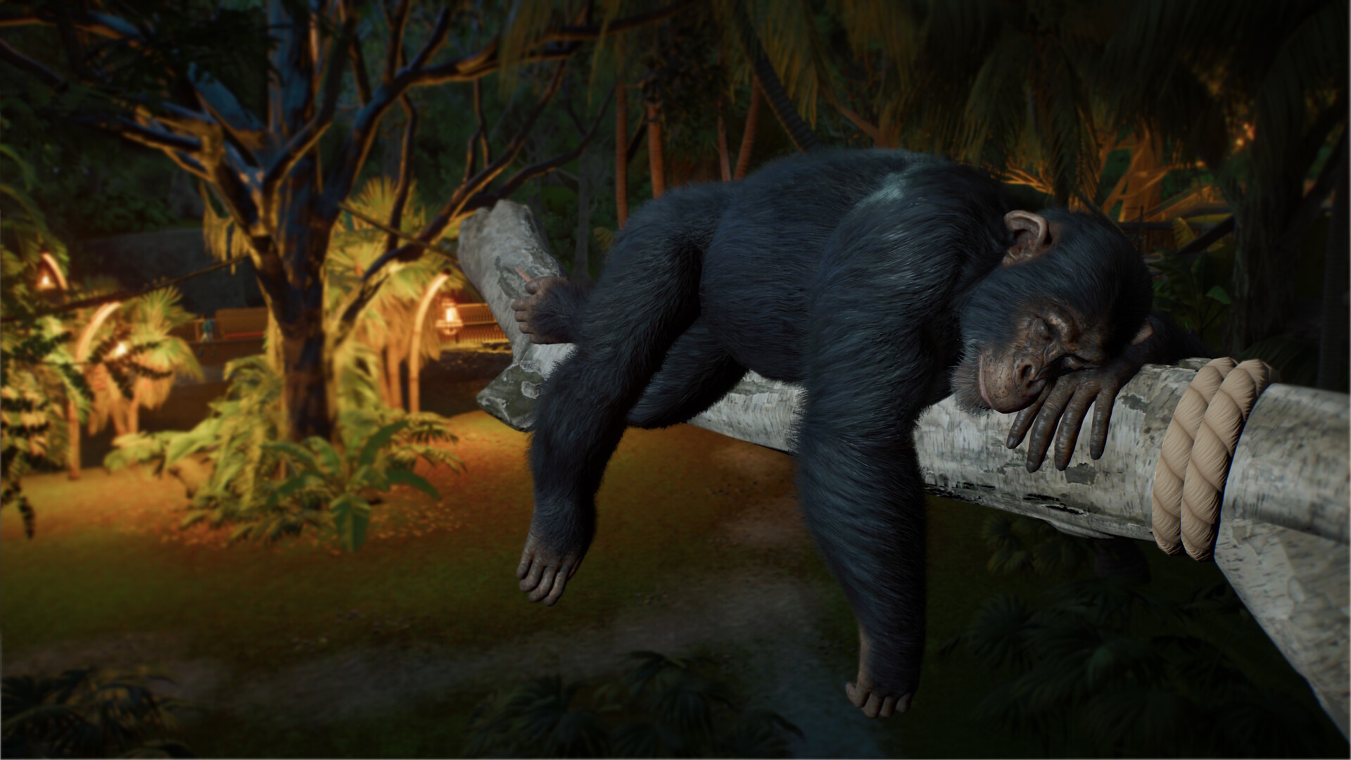 Planet Zoo 2 Planet Zoo 2