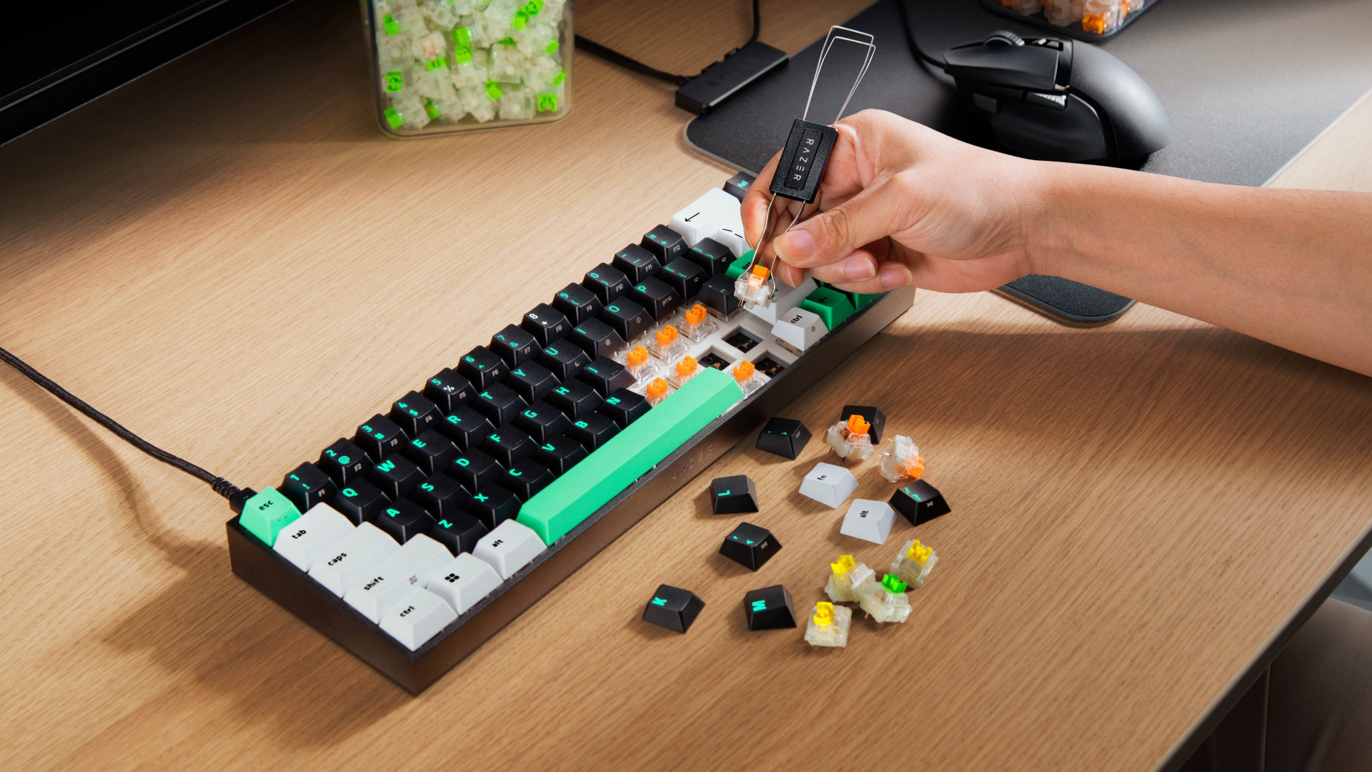 Reclusa X Mini 65% (3)