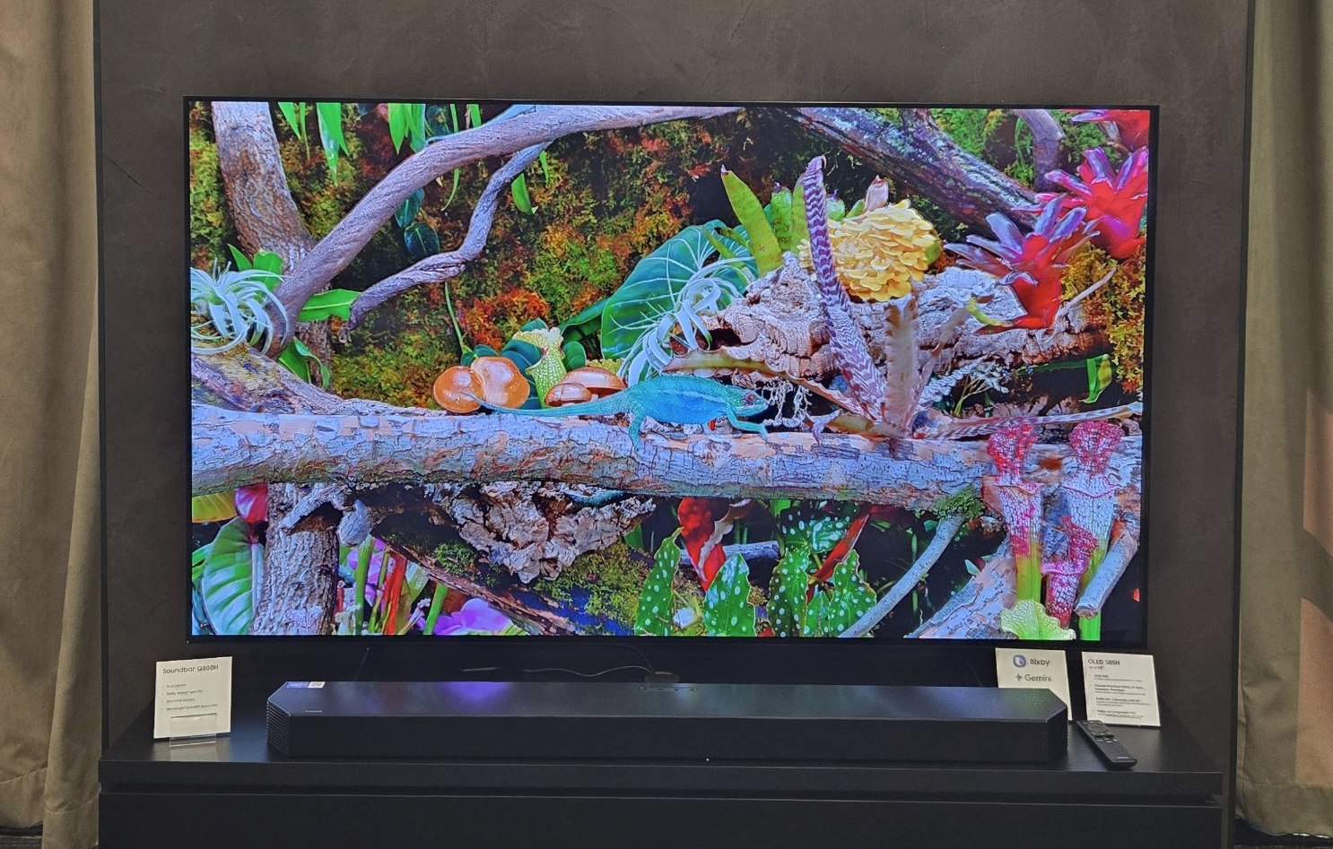 Samsung TV Samsung - OLED S85H