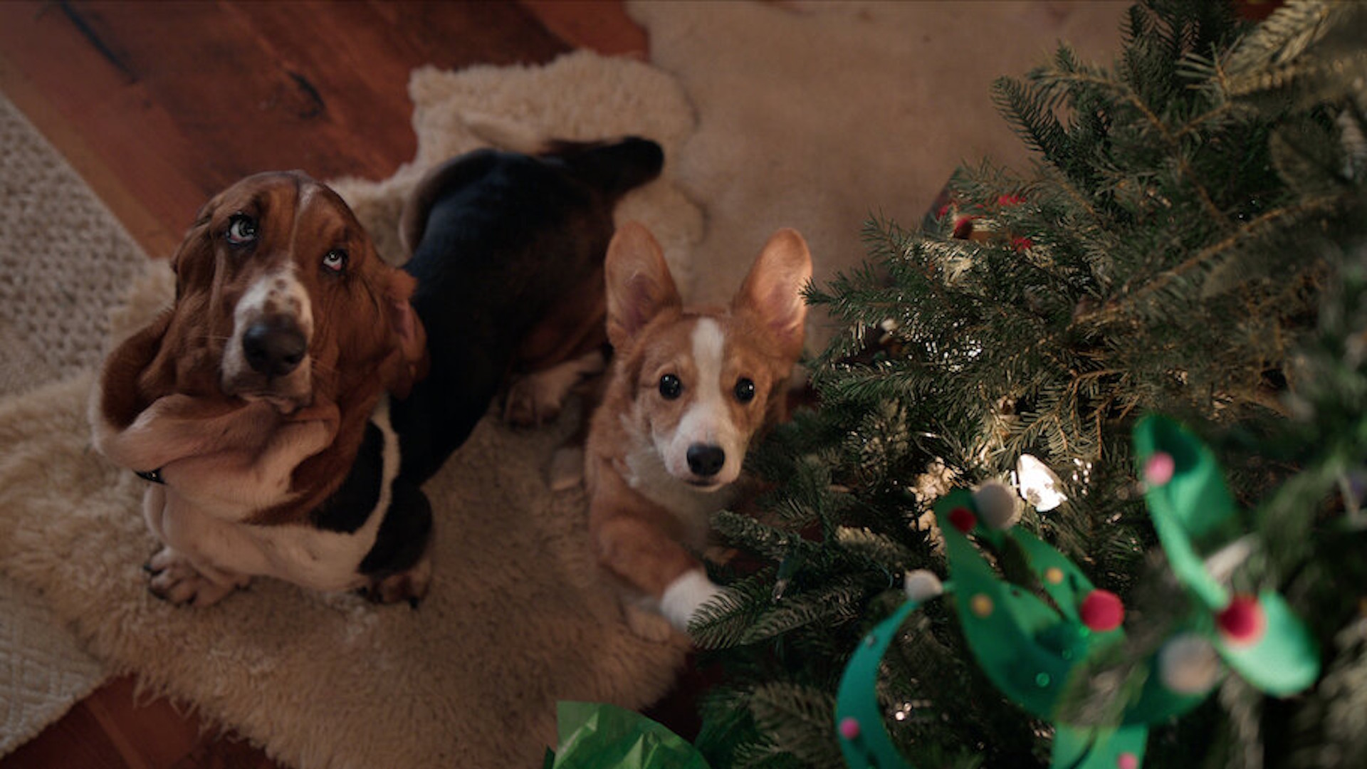 O Natal Perfeito de um Cachorro - lançamento da Netflix